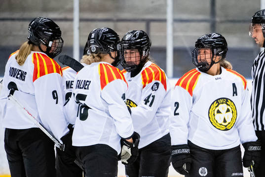 Brynäs spelare jublar