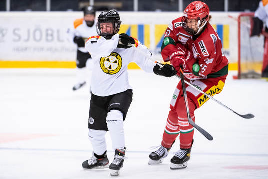 Brynäs Jaycee Gebhard och Modos Lore Baudrit