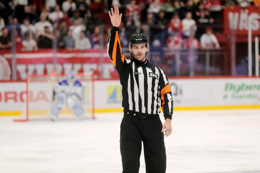 domare Richard Magnusson