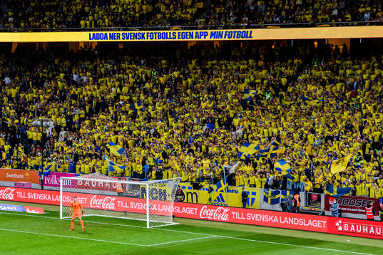 Supporters of Sweden