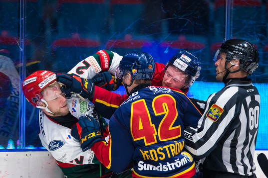 Bläddra bland fler bilder av Ishockey, SHL, Djurgården - Frölunda