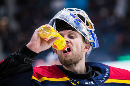 Djurgårdens målvakt Niklas Svedberg