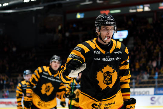 Skellefteås Stefan Loibl jublar