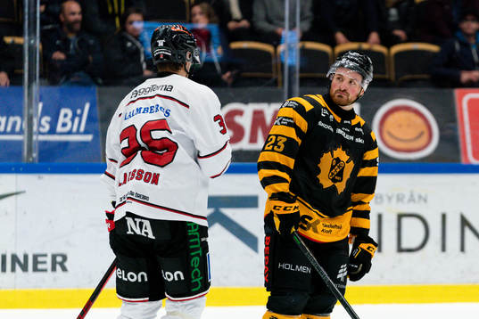 Skellefteås Adam Mascherin fick matchstraff för slashing