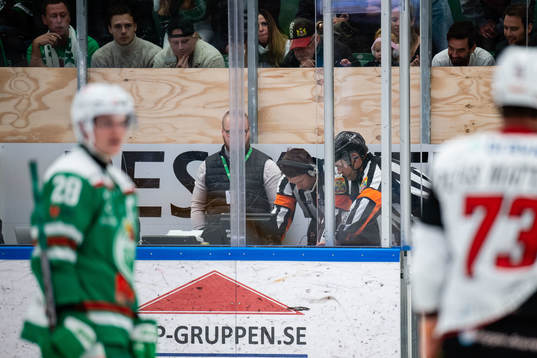 Domare videogranskar sitation där Malmö Redhawks