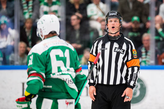 Domare Mikael Nord