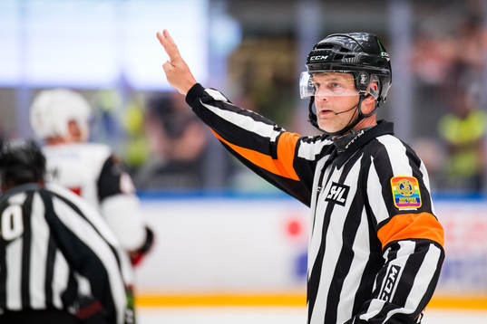 Domare Mikael Nord