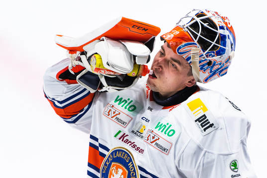Växjös målvakt Janis Kalnins