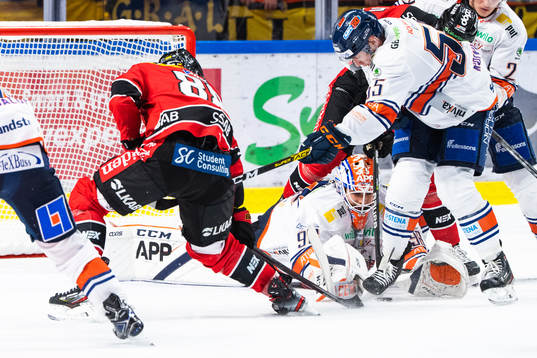 Växjös målvakt Janis Kalnins