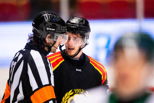 Domare Mikael Sjöqvist och Brynäs Nick Olesen