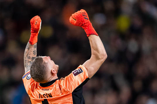 Goalkeeper Robin Olsen of Sweden celebrates