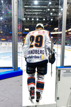 Djurgårdens Sebastian Strandberg