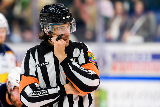 Domare Mikael Sjöqvist