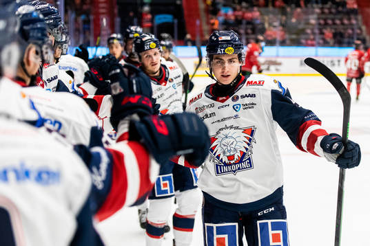 Linköpings Daniel Ljungman jublar
