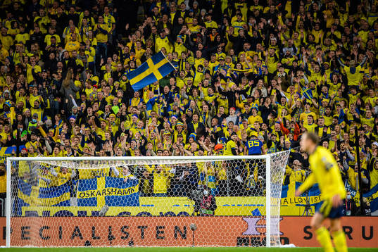 during the FIFA World Cup Qualifier football match between