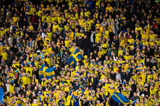 during the FIFA World Cup Qualifier football match between
