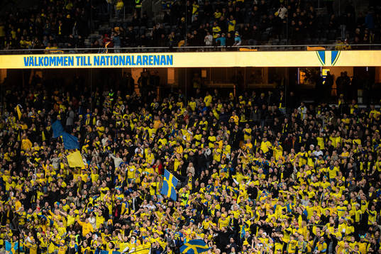 during the FIFA World Cup Qualifier football match between