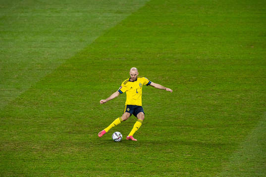 Marcus Danielson of Swedenduring the FIFA World Cup