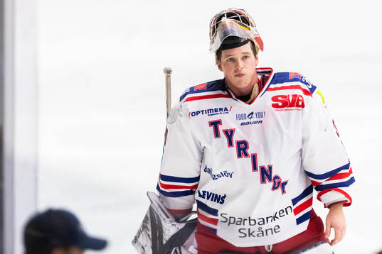 Tyringes målvakt Andrew Masters deppar
