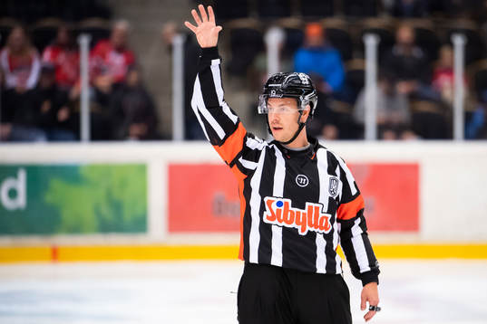Domare André Hiljanen