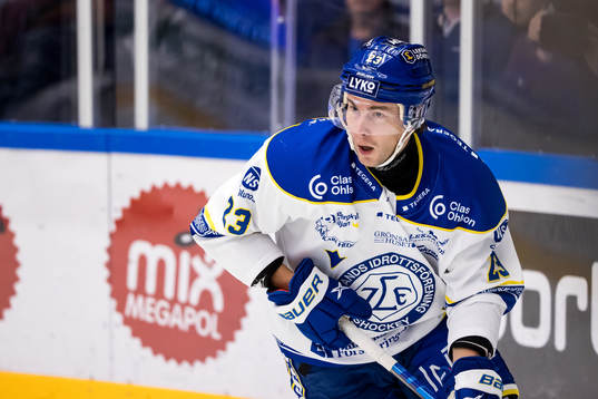 Leksands Mikael Ruohomaa