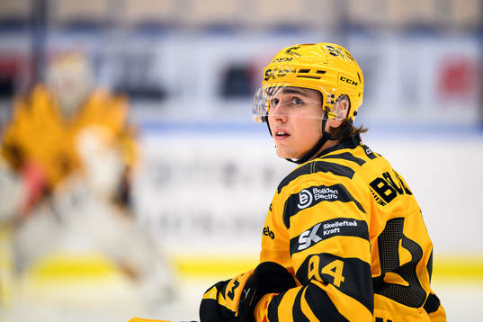 Skellefteås Linus Karlsson