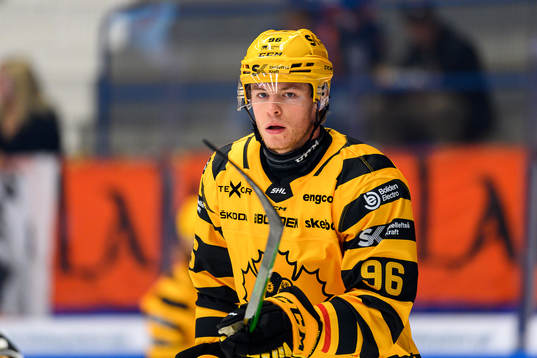 Skellefteås Rickard Hugg