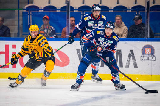 Skellefteås Simon Robertsson och Växjös Glenn Gustafsson