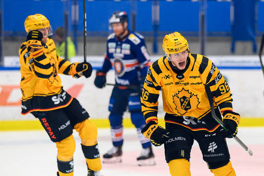 Skellefteås Rickard Hugg jublar
