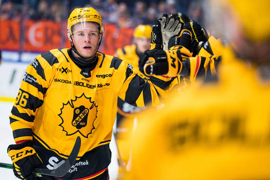 Skellefteås Rickard Hugg jublar