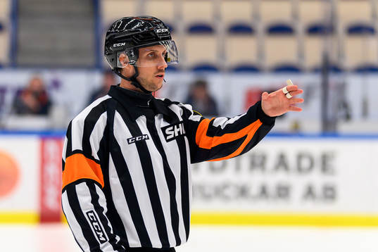 Domare Patric Bjälkander