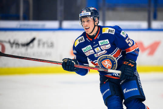 Växjös Theodor Johnsson