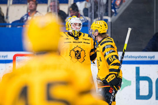 Skellefteås målvakt Strauss Mann jublar med Jonathan Pudas