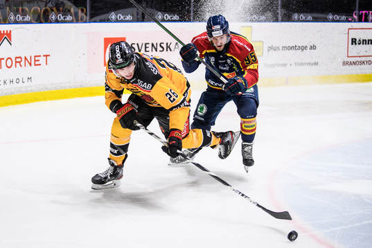 Luleås Radek Muzik och Djurgårdens Josef Ingman
