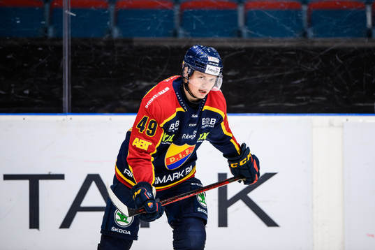 Djurgårdens Rhett Rakhshani deppar