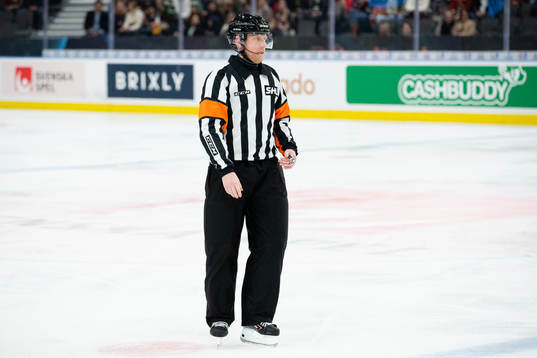 Domare Mikael Holm