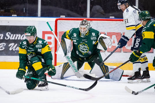 Björklövens målvakt Claes Endre