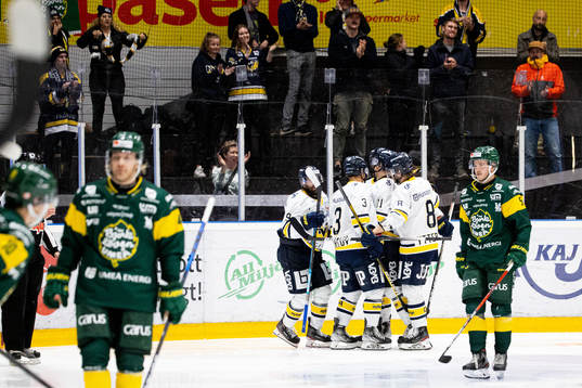 s spelare och supportrar jublar