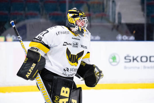 Västerås målvakt Johan Gustafsson jublar