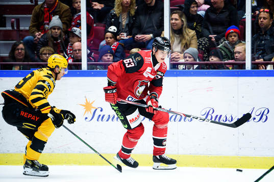 Skellefteås Filip Roos och Malmö Redhawks Fredrik