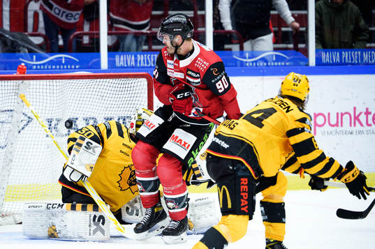 Malmö Redhawks Lance Bouma oroar framför Skellefteås