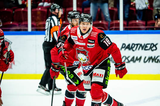Malmö Redhawks Marcus Sylvegård jublar