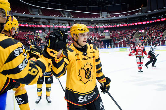 Skellefteås Stefan Loibl jublar