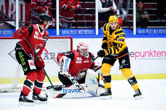 Skellefteås Stefan Loibl gör 1-1 bakom Malmö Redhawks