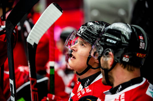Malmö Redhawks Fredrik Händemark