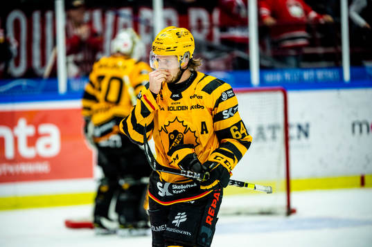 Skellefteås Jonathan Pudas deppar