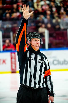 Domare Mikael Holm
