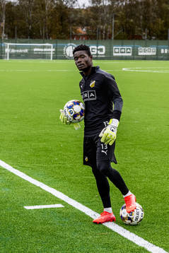 Häckens Yannick Armel Assiedou Adjoumani