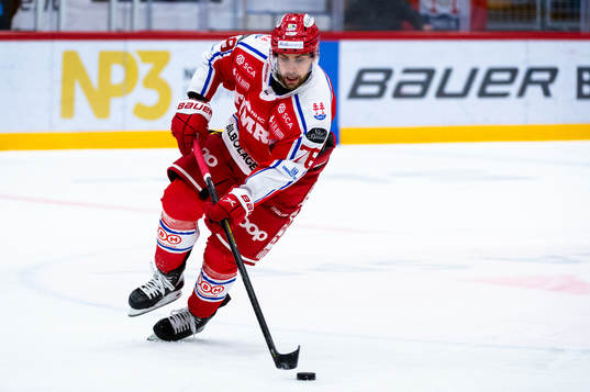 Timrås Robin Hanzl