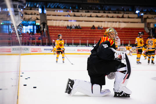 Brynäs målvakt Veini Vehviläinen